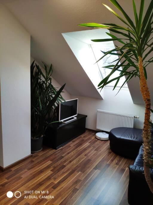 Tolle Wohnung In Zentraler Lage In Ной-Улм Екстериор снимка