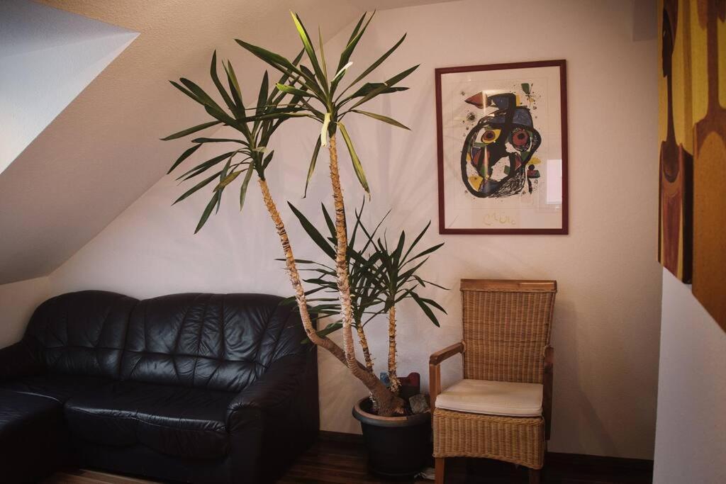 Tolle Wohnung In Zentraler Lage In Ной-Улм Екстериор снимка